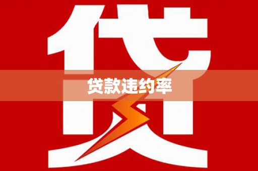 泾源贷款违约率