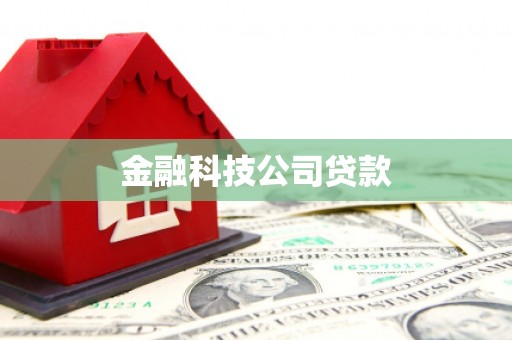 泾源金融科技公司贷款