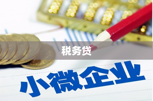 泾源税务贷