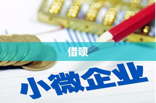 泾源借呗