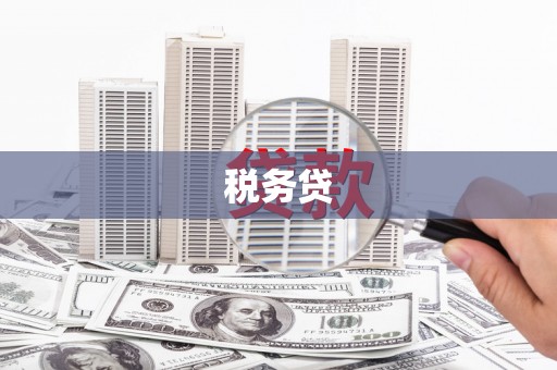 泾源税务贷