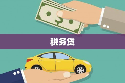 泾源税务贷