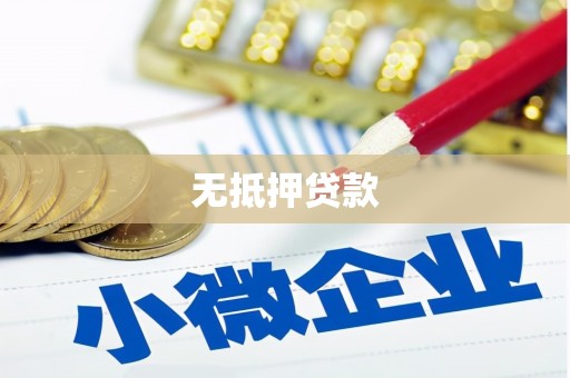 泾源无抵押贷款