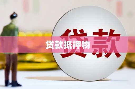 泾源贷款抵押物