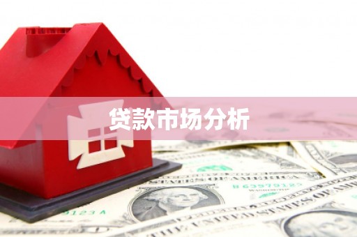 泾源贷款市场分析