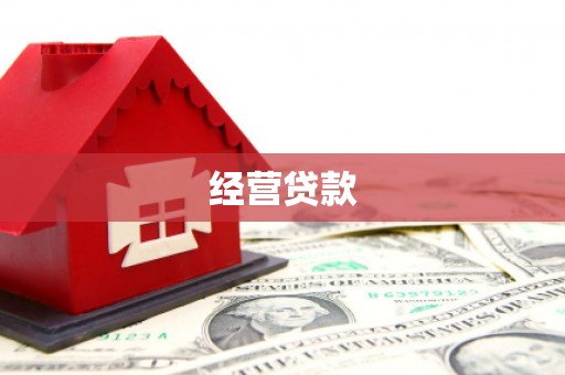 泾源经营贷款