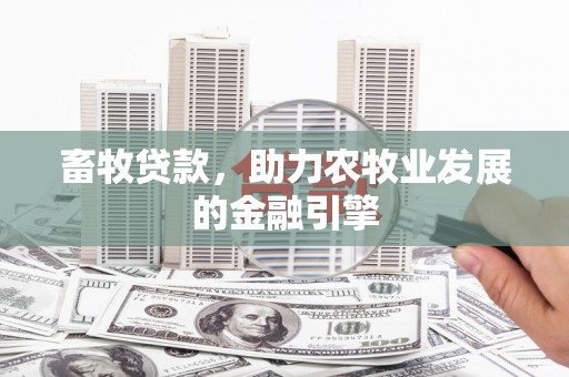 泾源畜牧贷款，助力农牧业发展的金融引擎