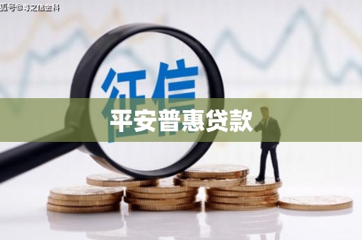 泾源平安普惠贷款