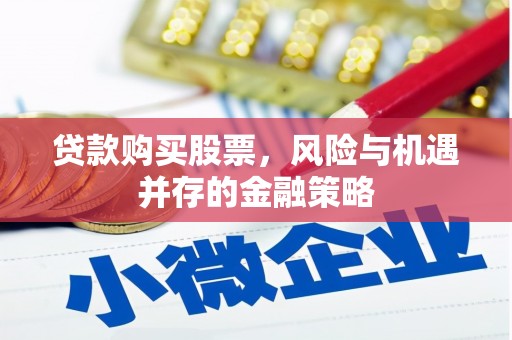 泾源贷款购买股票，风险与机遇并存的金融策略