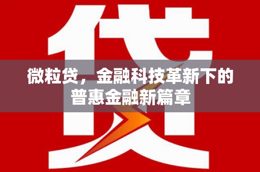 泾源微粒贷，金融科技革新下的普惠金融新篇章