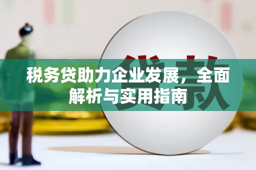 泾源税务贷助力企业发展，全面解析与实用指南
