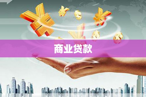 泾源商业贷款