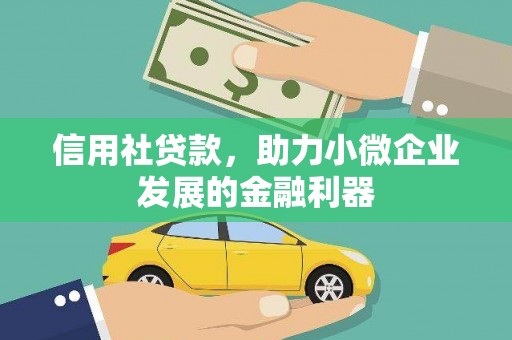 泾源信用社贷款，助力小微企业发展的金融利器