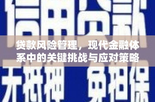 泾源贷款风险管理，现代金融体系中的关键挑战与应对策略