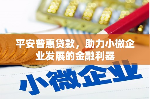 泾源平安普惠贷款，助力小微企业发展的金融利器