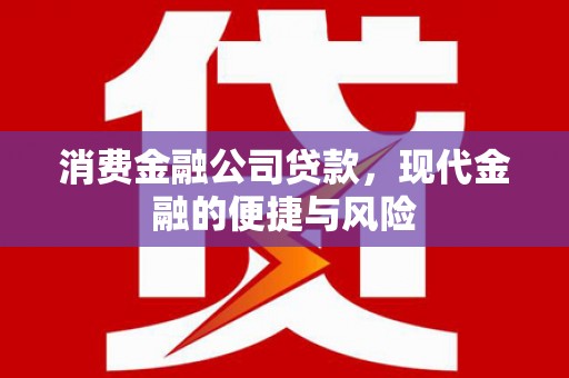 泾源消费金融公司贷款，现代金融的便捷与风险