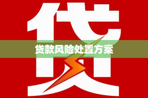 泾源贷款风险处置方案