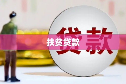 泾源扶贫贷款