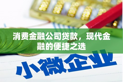泾源消费金融公司贷款，现代金融的便捷之选