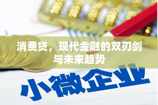 泾源消费贷，现代金融的双刃剑与未来趋势