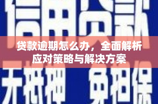 泾源贷款逾期怎么办，全面解析应对策略与解决方案