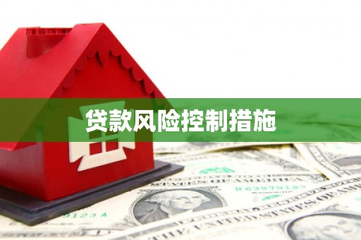 泾源贷款风险控制措施