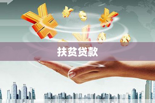 泾源扶贫贷款