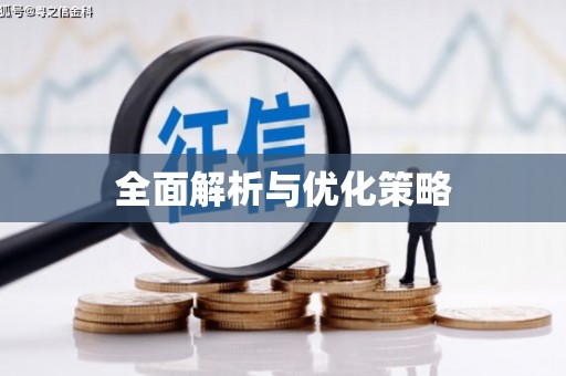 泾源全面解析与优化策略