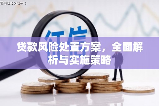 泾源贷款风险处置方案，全面解析与实施策略