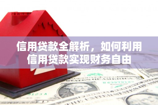 泾源信用贷款全解析，如何利用信用贷款实现财务自由
