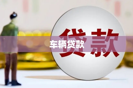 泾源车辆贷款